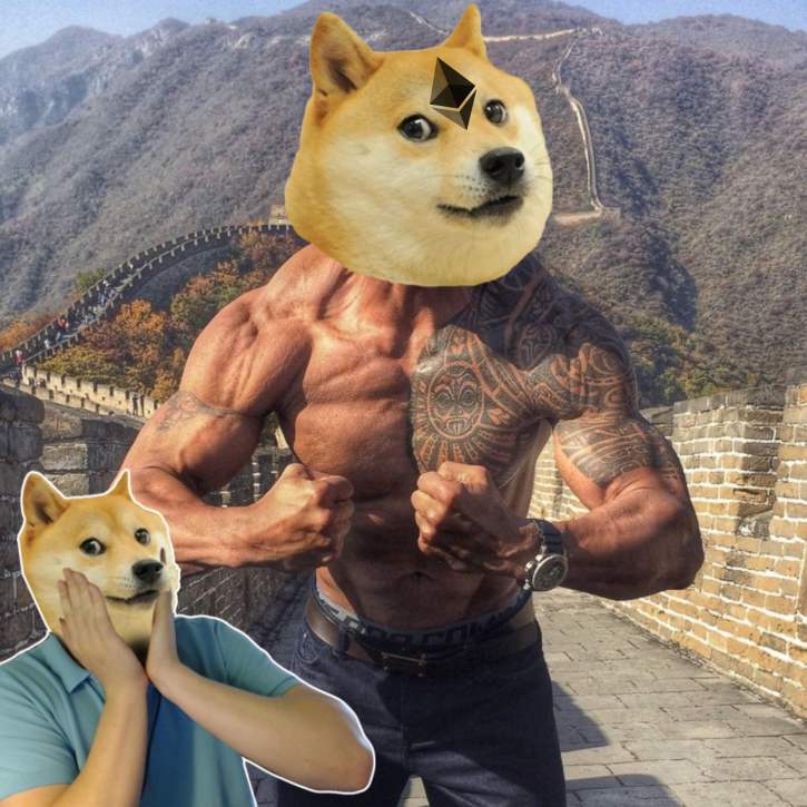 Doge meme  Wikipedia tiếng Việt