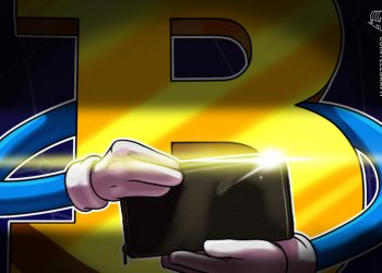 Giá bitcoin hôm nay 22/6: Giảm nhẹ, ví bitcoin có an toàn?