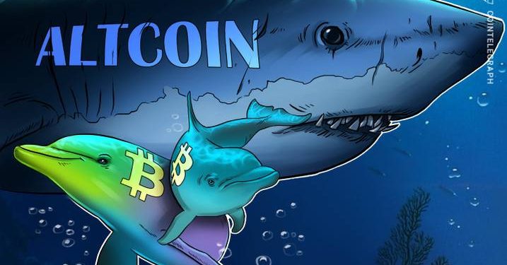 Sự thống trị của Bitcoin giảm xuống mức thấp nhất trong 12 tháng