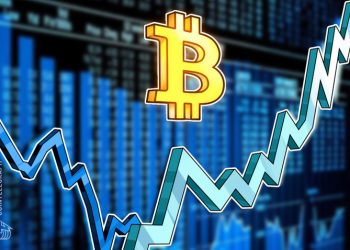 ‘Các cụm cá voi’ của Bitcoin cho thấy $14K là mức then chốt cho bull run