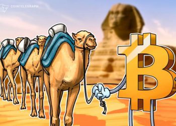 Sử dụng Bitcoin tăng ở Ai Cập trong bối cảnh suy thoái kinh tế
