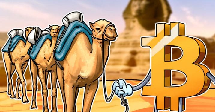 Sử dụng Bitcoin tăng ở Ai Cập trong bối cảnh suy thoái kinh tế
