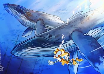 Whale Alert – người dùng tiền điện tử chuyển $1,1 tỷ bằng Bitcoin