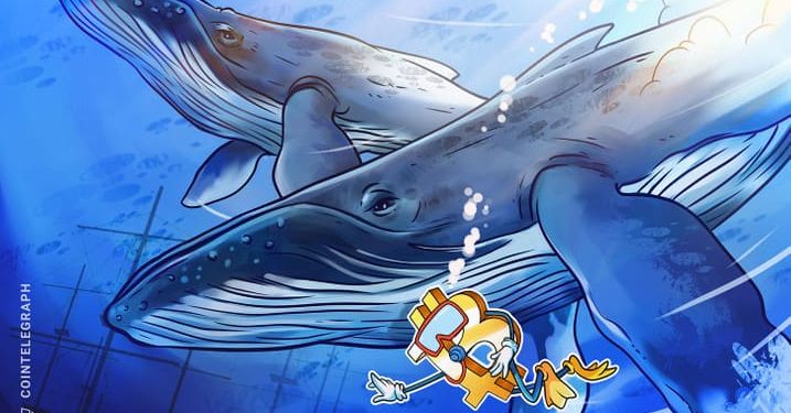 Whale Alert – người dùng tiền điện tử chuyển $1,1 tỷ bằng Bitcoin