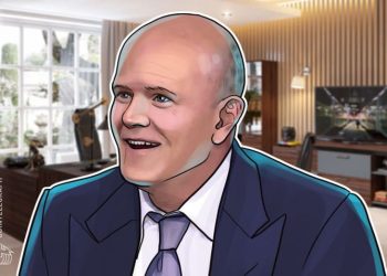Mike Novogratz: Giá Bitcoin sẽ đạt 65 nghìn đô la khi hiệu ứng mạng ‘tiếp quản’