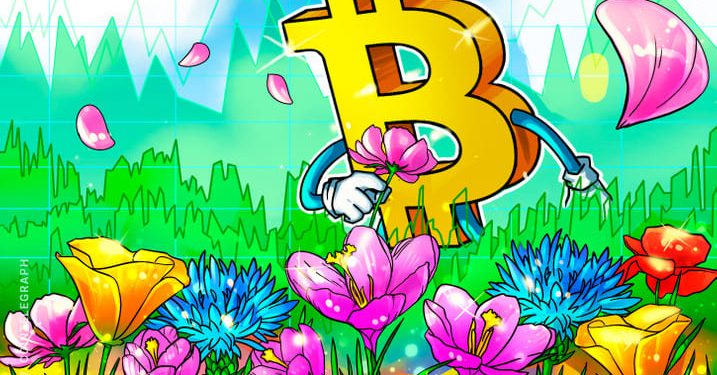 Nhà đầu tư: Bitcoin phải đắt hơn 10 lần với tiện ích ít hơn 10 lần để phù hợp với hoa tulip