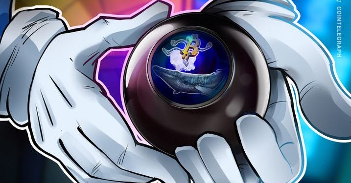 Cá voi Bitcoin gửi tiền vào sàn giao dịch thực sự có thể dự đoán giá BTC không?