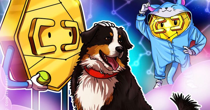 Bitcoiners yêu chó, bọ vàng thích mèo – Nghiên cứu mới cho thấy