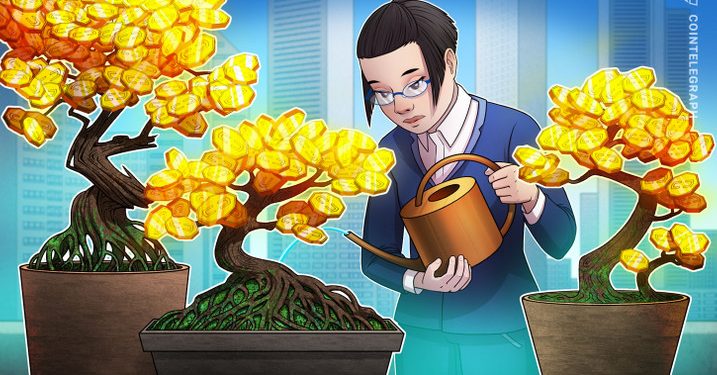 Các nhà giao dịch tiền điện tử của Hàn Quốc đang xoay quanh các altcoin “vốn hóa nhỏ hơn”