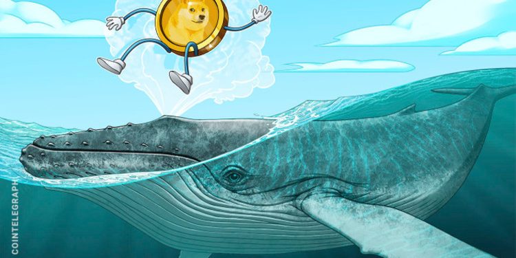 Chỉ có cá voi di chuyển DOGE: Dữ liệu cho thấy khoảng cách giàu nghèo lớn của Dogecoin