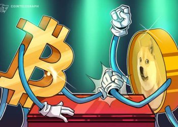 DOGE vs BTC: Elon Musk tuyên bố “cuộc đua không gian” tiền mã hoá với BitMEX đã bắt đầu