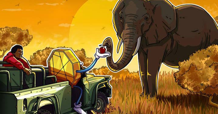 Thị trường tiền điện tử của Châu Phi đã tăng hơn 1.200% kể từ năm 2020
