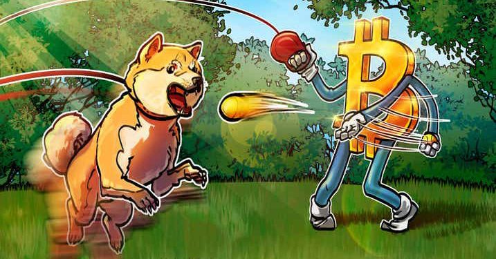 Dogecoin giảm 70% so với Bitcoin trong 6 tháng