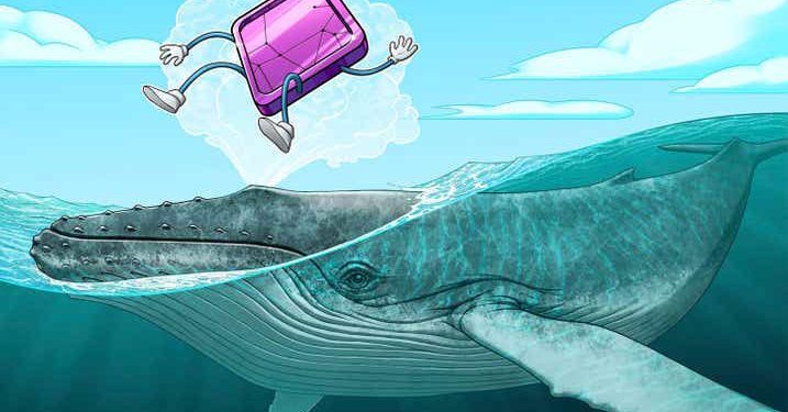 17% địa chỉ kiểm soát 80% tổng số NFT trên Ethereum kể từ tháng 4