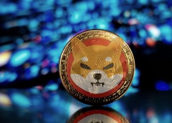 Hồ sơ Shiba Inu, tiền mã hóa vừa vượt mặt Dogecoin