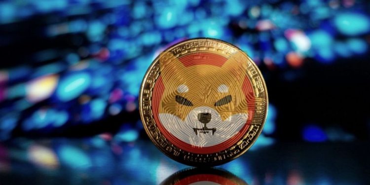 Hồ sơ Shiba Inu, tiền mã hóa vừa vượt mặt Dogecoin