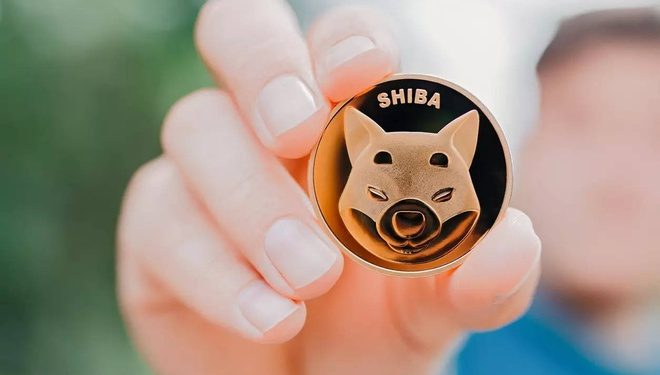 Một tài khoản sở hữu lượng coin tỷ USD nhờ mua Shiba Inu