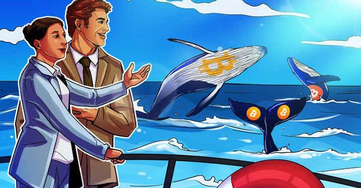 Giá tăng đột biến: Cá voi có đang chạy trước việc phê duyệt ETF Bitcoin tương lai không?