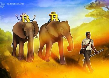 Zimbabwe có thể là quốc gia tiếp theo chấp nhận Bitcoin dưới dạng tiền tệ hợp pháp