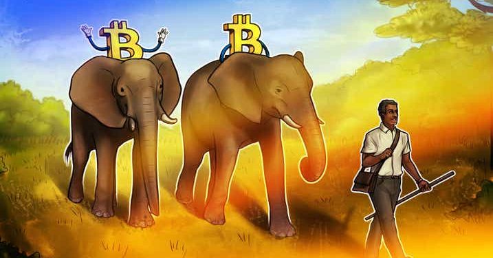 Zimbabwe có thể là quốc gia tiếp theo chấp nhận Bitcoin dưới dạng tiền tệ hợp pháp