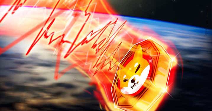 Shiba Inu có nguy cơ đã “đạt đỉnh” vì giá SHIB giảm 50% trong 3 tuần