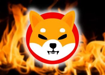 Tính năng đốt SHIB dành cho người bán sẽ được nhà cung cấp dịch vụ thanh toán tiền điện tử ra mắt