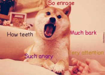 Tiền điện tử là chủ đề số 1 trên Reddit vào năm 2021, Dogecoin dẫn đầu về tiền điện tử