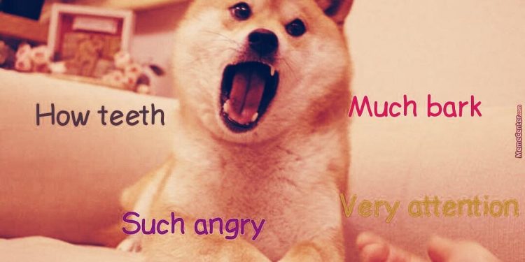 Tiền điện tử là chủ đề số 1 trên Reddit vào năm 2021, Dogecoin dẫn đầu về tiền điện tử