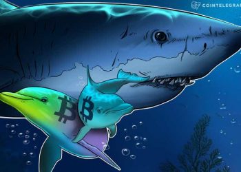 Dữ liệu cho thấy các nhà đầu tư bán lẻ đang mua Bitcoin, cá voi đang bán