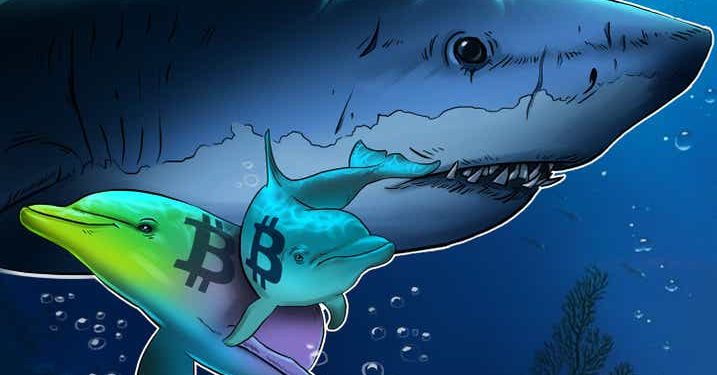 Dữ liệu cho thấy các nhà đầu tư bán lẻ đang mua Bitcoin, cá voi đang bán