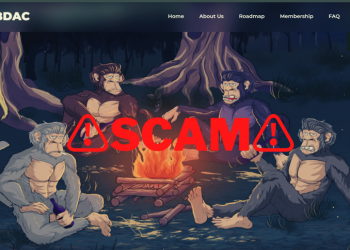 Chủ bộ sưu tập NFT bỏ trốn với 1,3 triệu USD