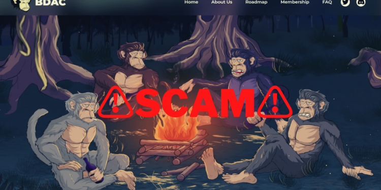 Chủ bộ sưu tập NFT bỏ trốn với 1,3 triệu USD