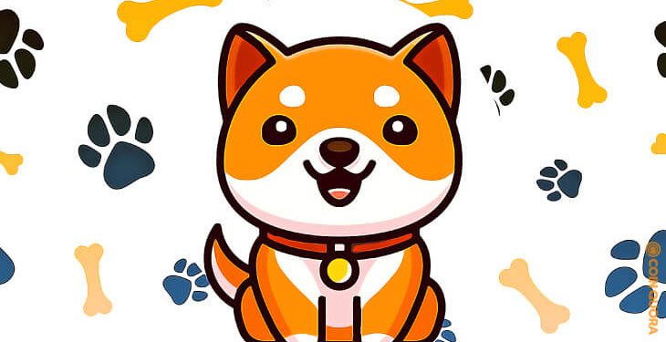 BabyDoge lật ETH trở thành tiền điện tử được giao dịch nhiều nhất trong số 1.000 ví BSC hàng đầu