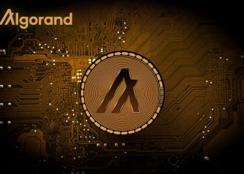 Algorand là gì? Cách hoạt động của Algorand và vai trò của đồng ALGO