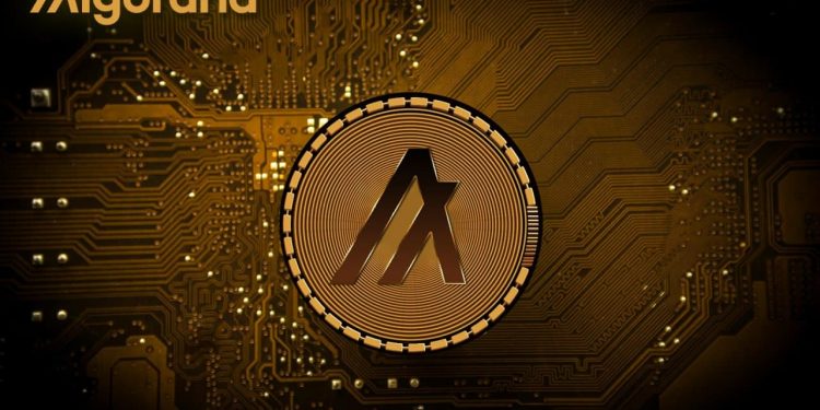 Algorand là gì? Cách hoạt động của Algorand và vai trò của đồng ALGO