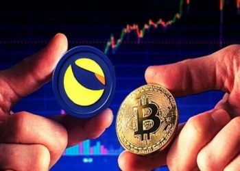 Hối hận vì giữ UST thay tiền mặt