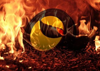 Do Kwon kêu gọi người dùng ngừng đốt LUNA