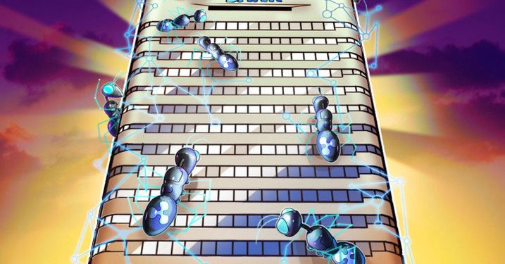 Ngân hàng neobank được Warren Buffett hậu thuẫn chọn Polygon cho token Web3 – Giá MATIC tăng 100%?