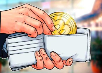 Bất chấp thị trường gấu, những người nắm giữ Bitcoin đang gia tăng