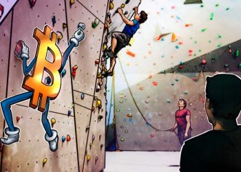 Dữ liệu on-chain của Bitcoin cho thấy những dấu hiệu ban đầu về việc chạm đáy