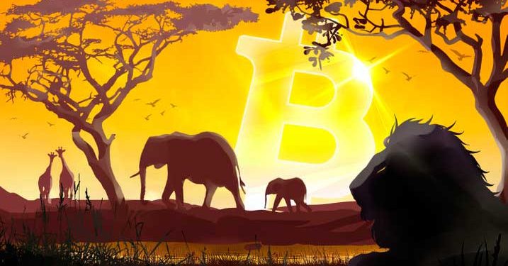 Gã khổng lồ tạp hóa Nam Phi “Pick n Pay” dự định chấp nhận Bitcoin ở tất cả các cửa hàng trên toàn quốc