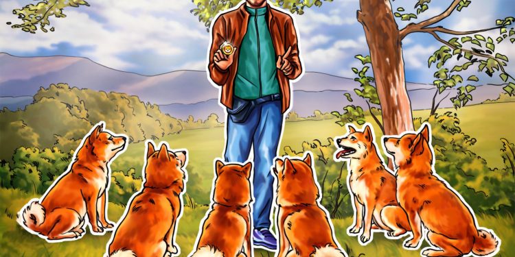 Giá Shiba Inu giảm xuống mức thấp kỷ lục so với Dogecoin – Liệu lịch sử có lặp lại với mức tăng 150%?