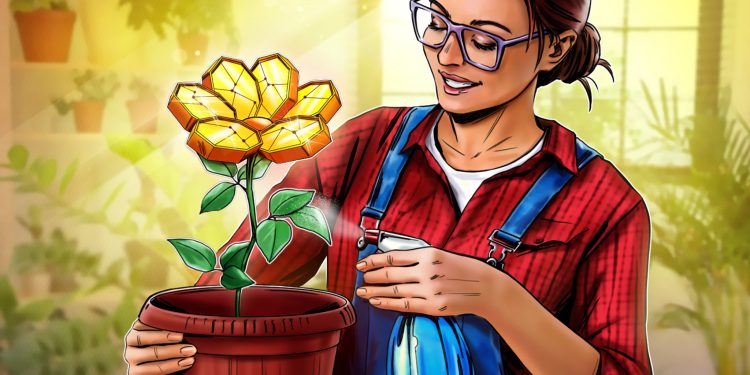 DebtDAO thay mặt chủ nợ của FTX phát hành token FUD, mua bán nợ trên thị trường thứ cấp