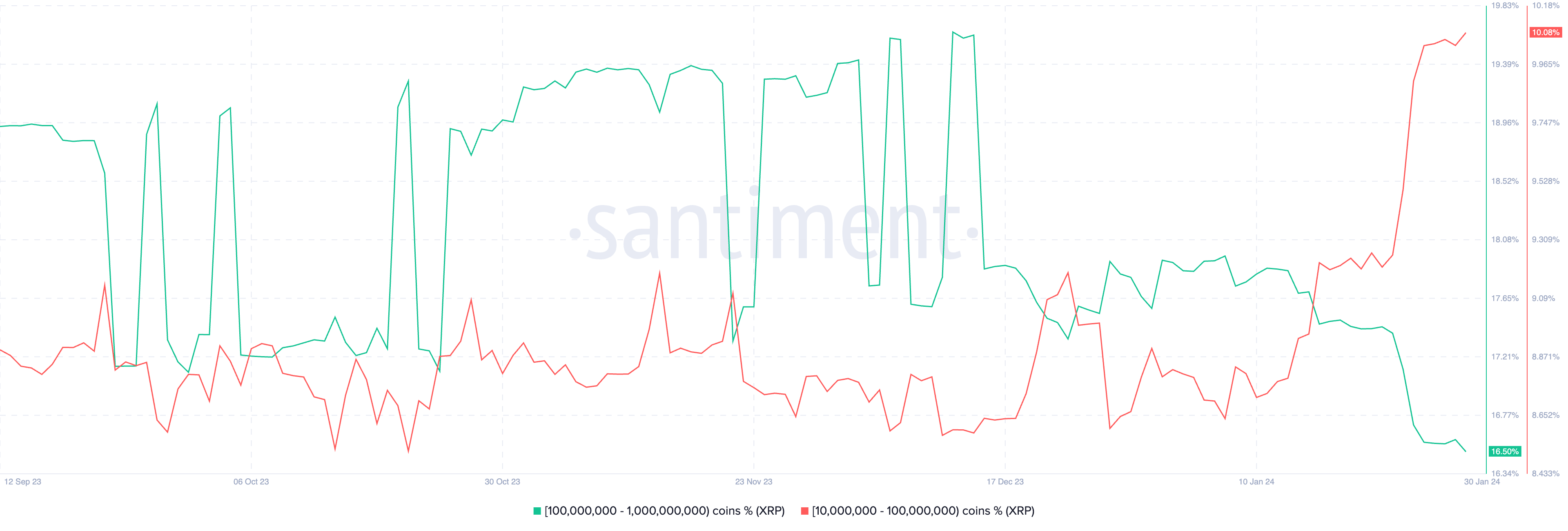 Phân phối nguồn cung XRP.