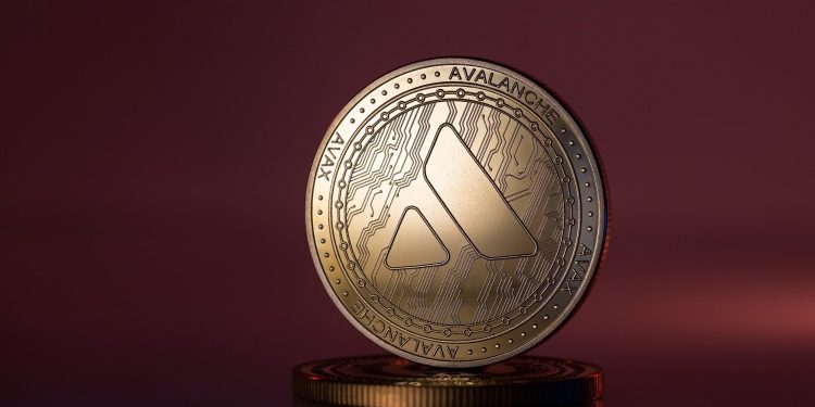 Hoạt động Borroe Finance (ROE) không chậm lại, chuyên gia dự đoán mức tăng gấp 50 lần