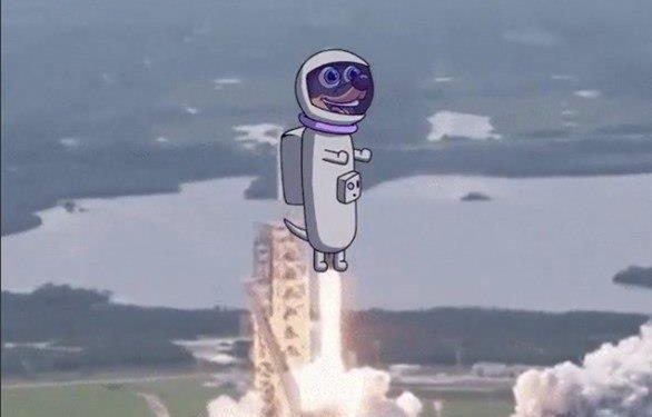 WienerAI và đợt bán trước đột phá: Giải mã cơn sốt meme coin AI