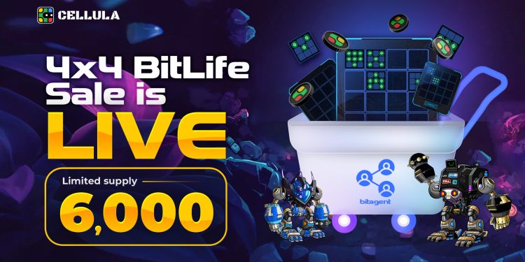 Máy khai thác ảo năng suất cao 4×4 BitLife của Cellula sắp ra mắt