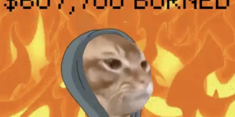 Catslap (SLAP) tăng giá 143% sau cơn sốt Popcat – Meme Coin mèo tỷ đô tiếp theo?