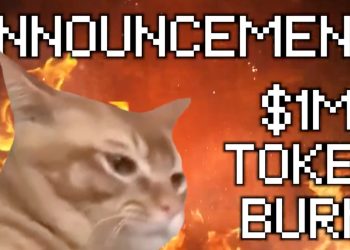 Catslap (SLAP) đốt 1 triệu USD token: Giá dự kiến sẽ tăng vọt