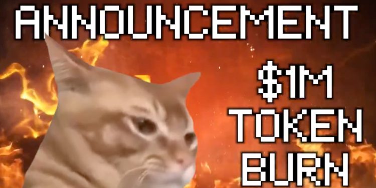 Catslap (SLAP) đốt 1 triệu USD token: Giá dự kiến sẽ tăng vọt